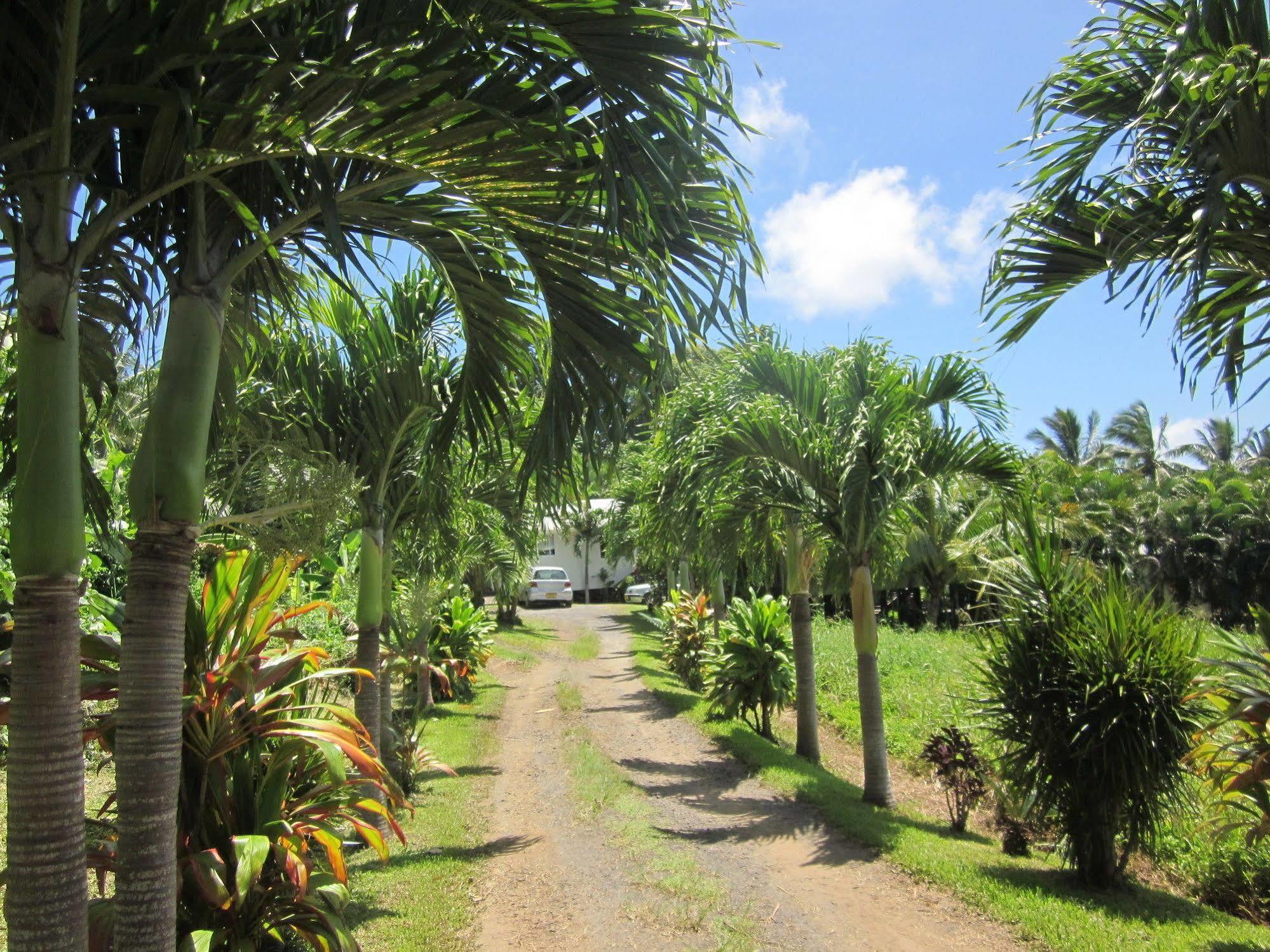 Muri Lagoon View Bungalows - Hillside Bungalow Rarotonga Kültér fotó